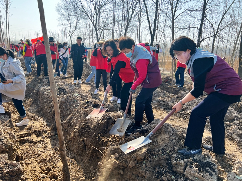 7 携手共建巾帼林  王云（摄）.jpg